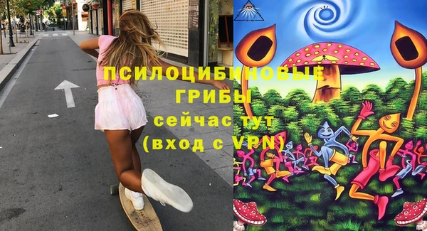 дмт Покровск