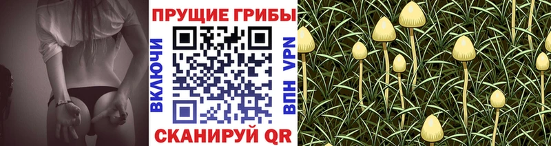 Псилоцибиновые грибы GOLDEN TEACHER  Белоусово 